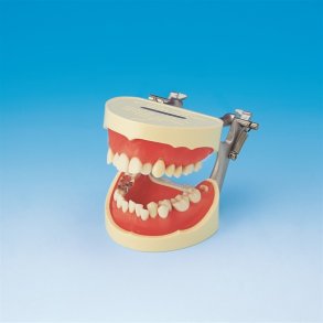 Instruktionsmodel til Tandbrstning 